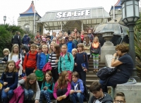 Brighton - Sea Life Centre